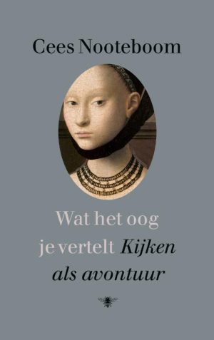 Wat het oog je vertelt: kijken als avontuur